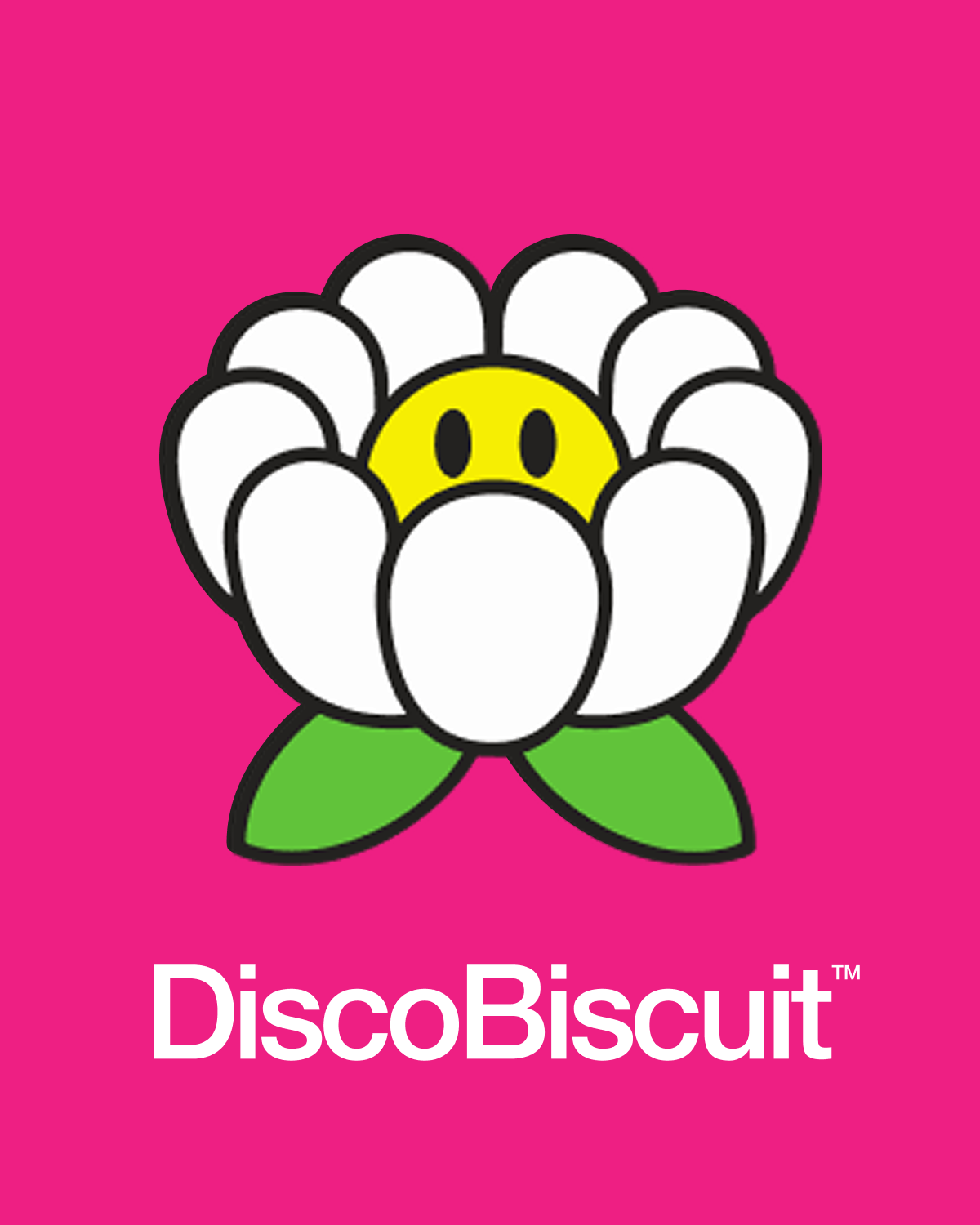DiscoBiscuit — A Shopify website design and build for DiscoBiscuit, combining brand expression, UX, animation and eCommerce into a playful digital storefront.